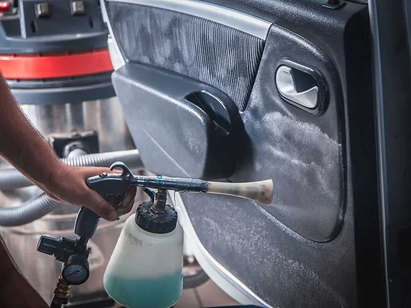 Îngrijire Plastic și Panouri Interior